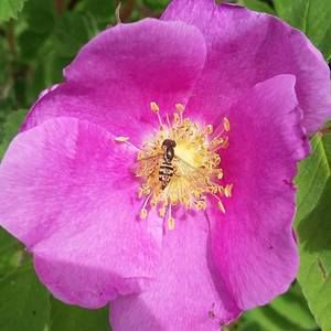 Meet your Posher, Sherry